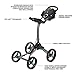 Bag Boy Quad XL Golf Cart