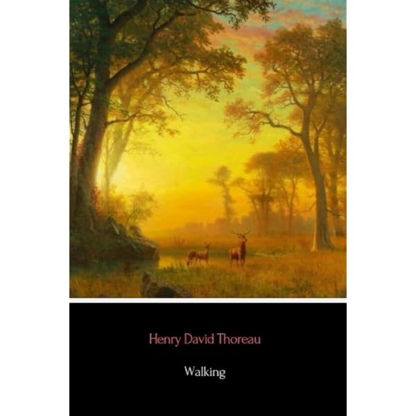 Amazon.com: Rereading: 9780300056570: Calinescu, Professor Matei