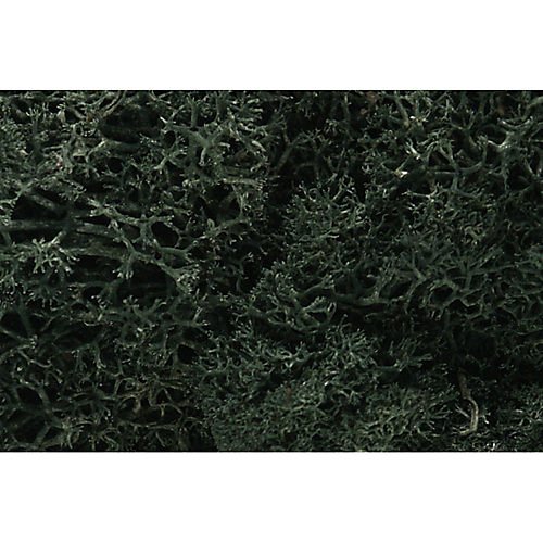 Woodland Scenics Lichen, Dark Green WOOL164