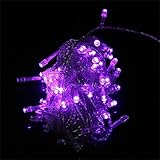 String Decoration Light for Christmas Party Wedding (Purple)