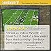 SunBriteTV Weatherproof Outdoor 43-Inch Veranda (2nd Gen) 4K UHD HDR LED Television – SB-V-43-4KHDR-BL, Blackthumb 4