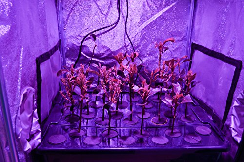 Ohuhu 48"x 48"x 80" Growing Tent, Mylar Hydroponic Plant Grow Tent for Indoor Gardening and Germination - Thumbnail 6