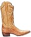 Dan Post Men's Okeechobee Western Boot
