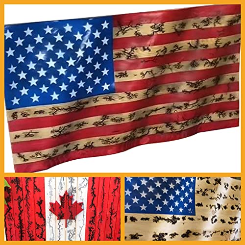 Coolneon Lichtenberg Machine Neon Sign Transformer Fractal Wood Burning