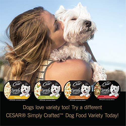 CESAR Simply Crafted Adult Wet Dog Food Meal Topper Variety Pack