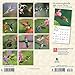 Hummingbirds 2020 7 x 7 Inch Monthly Mini Wall Calendar, Animals Wildlife Birds