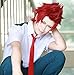 ROLECOS Eijiro Kirishima Cosplay Wigs Short Fluffy Party Hair Wig Red