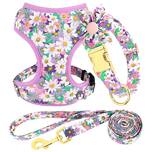 Photo 1 of Beirui Cute Girl Dog Collars, Harnesses & Leashes Set - Adjustable Dog Collar and Leash Set with Flower - Soft Mesh Dog Vest Harness for Puppies Small Medium Dogs (Purple,M)