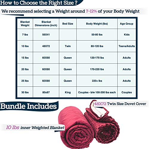 Aviano Premium Weighted Blanket for Adults 10 lbs with Removable