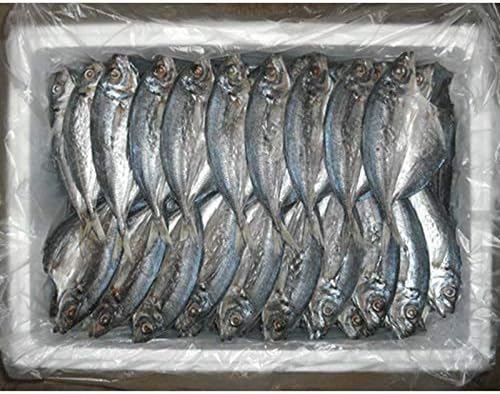 Amazon 無添加 真あじの干物 ２０枚入 長崎県産 干物丸干しの角助屋 干物 燻製 通販