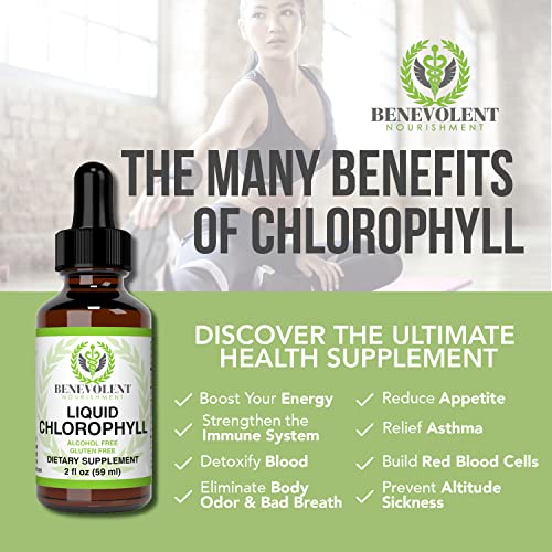 Benevolent Chlorophyll Liquid Drops 100 Natural + 4X Potency