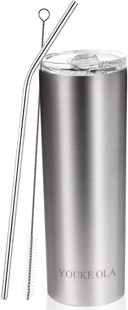 Stainless Steel Skinny Tumbler 20oz - Vacuum Insulated Double Wall Travel Mug with Lid, Straw, Brush (Silver, 20oz-1 Pack)