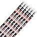 AMSCAN Pencil Party Favors 12/Pkg, Pirate Pencils