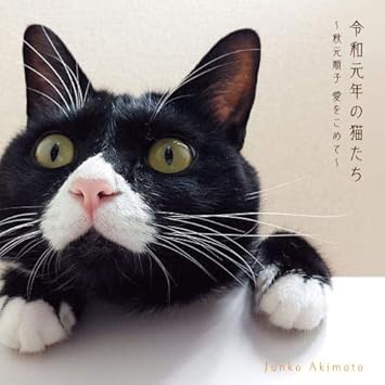 令和元年の猫たち Amazon Com Music