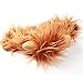 IN HAND Lion Mane for Cat Appreal, Pet Costume Lion Mane Wig Pet Cat Caps Cat Hat Dress up with Ears for Halloween