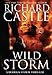 Wild Storm: A Derrick Storm Thriller (A Derrick Storm Thriller, 2)