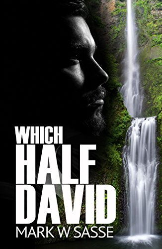 Which Half David: A Modern-day King David Story
