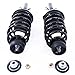 Front Struts Complete & Coil Springs Assembly Pair Set Compatible with 1998-2008 Beetle 1999-2006 Golf 1999-2005 Jetta Shock Absorbers - 171525