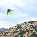 Mint's Colorful Life Delta Kite for Kids & Adults, Extremely Easy to Fly Kite with 2 Ribbons and 300ft Kite String, Best Kite for Beginner (Black Green)