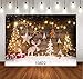 WOLADA 7x5ft Christmas Backdrop Wooden Christmas Backdrops for Photography Photo Background Vinyl Kids Studio Props 10822