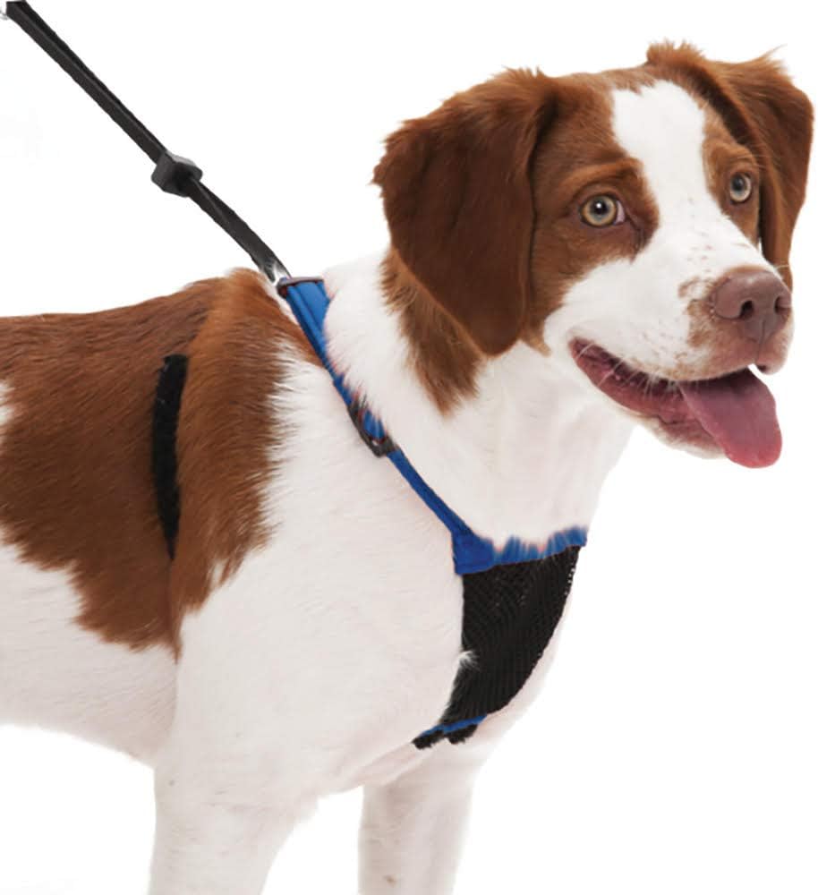 dog pulling harness amazon