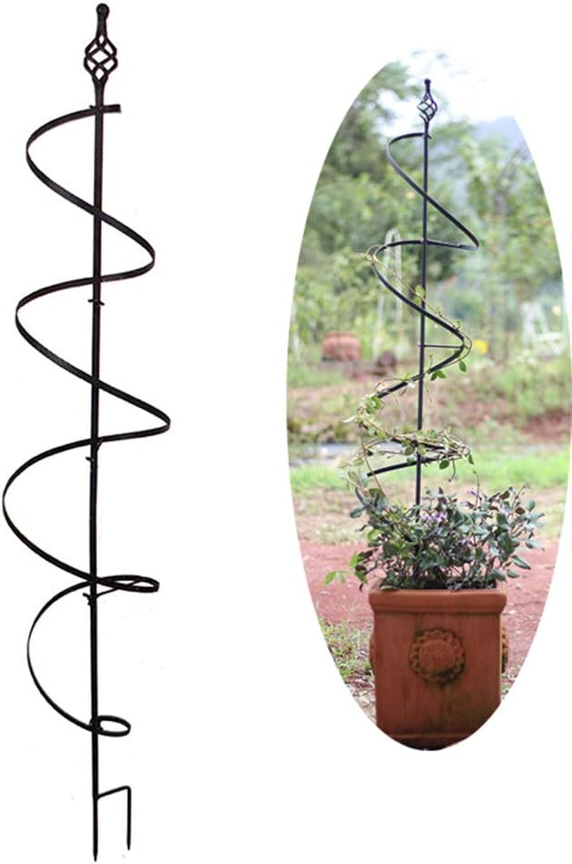 Amazon.com: Garden Obelisk Metal Trellis Flower Support, Rose Plant