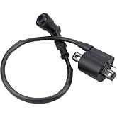 Ignition Coil for 50cc 90cc 110cc 125cc 150cc 200cc 250cc ATV Quad Dirt Pit Bike Scooter Buggy Motorcycle Go Kart