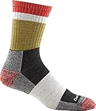 Darn Tough Heady Stripe Micro Crew Light Cushion Socks - Men's Ash Large