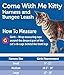 PetSafe Come with Me Kitty Harness and Bungee Leash, Medium, Lime