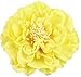 Hair Flower Clips Brooch Boutique Hair Accessories Bohemia Hairpins for Women Girls (Yellow) 1 Count (Pack of 1)
