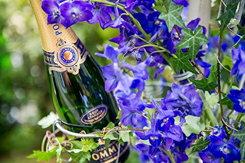 POMMERY CHAMPAGNE BRUT APANAGE 75 CL IN ASTUCCIO – Bild 6