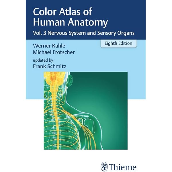 Amazon.com: Color Atlas of Human Anatomy: Vol. 1 Locomotor System