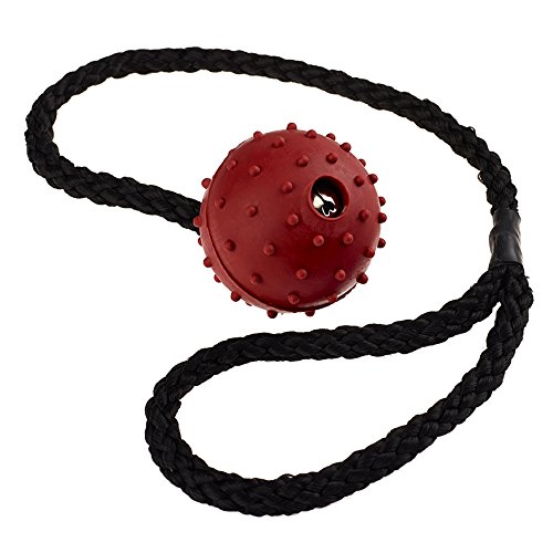 Classic Pet Products Pimple Ball on a Rope, 50 mm, Red