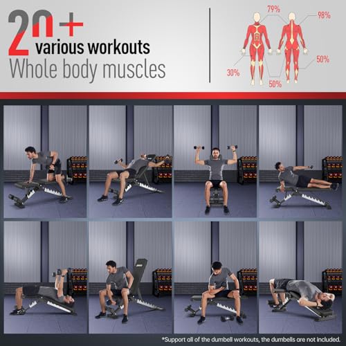 JOROTO MD60 Adjustable Weight Bench, Folding Training Bench, Incline Bench with 1.5 mm Thickened Steel for Home