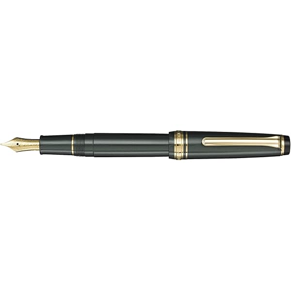 Amazon.com: Sailor Fountain Pen Profit Casual Gold Trim Black