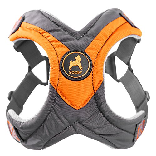 The 10 Best NoJump Dog Harnesses For Inspired Dogs Scout Knows