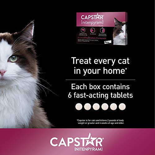 5 Capstar+Fast+Acting+Oral+Treatment+Doses