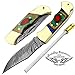 Best.Buy.Damascus1 Multi Color Wood 5.5'' Custom Handmade Damascus Steel Double Brass Bloster with Sharpening Rod Folding Pocket Knife Back Lock Prime Quality Come with Leather Sheath
