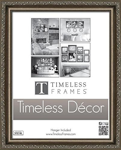 Timeless Frames Carrington Frame Pewter, 12" x 18"
