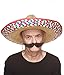 Mustaches Self Adhesive Fake Mustache, Novelty, Large Dali Black False Facial Hair, Costume Accessory for Adults, Black Color