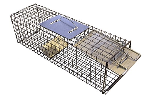 Neocraft 40050 2 Piece Animal Trap, Silver - Thumbnail 6