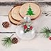 Auihiay 3.15 Inch Christmas Plastic Discs Ornaments, Clear Disc Balls Fillable for DIY Craft Projects, Valentines Day, Wedding, Birthday, Party, Home Decor (Pack of 6)