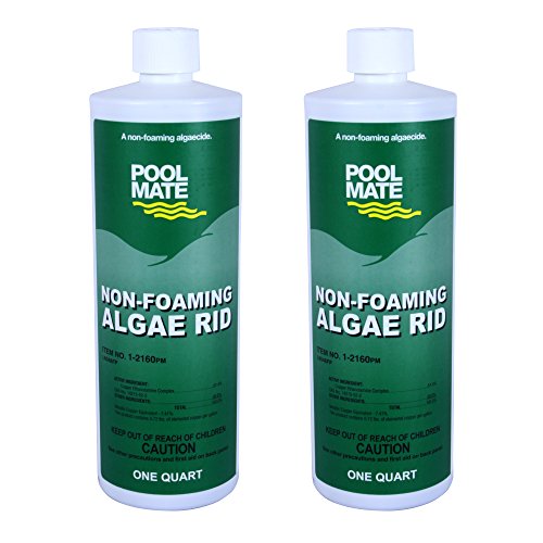 Buy Pool Mate 1216002 NonFoaming Algae Rid Swimming Pool Algaecide