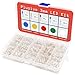 3mm Light Emitting Diode LED Bulb Assortment Kit - Pack of 1000 Pieces Clear Lens LEDs for Electronics - Red, Green, Yellow, Blue and White LED Indicator Lights from Plusivo