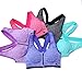 Encounter Women's Strech Removable Pads Front Zipped Comfort Sports Bra