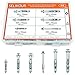 HELIFOUNER Hollow Wall Anchor Screws Set, 6 Sizes Heavy Duty Zinc Plated Steel Molly Bolt Hollow Drive Wall Anchor Screws Assortment Kit for Drywall, Plaster and Tile, 48 PCS