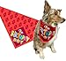 Stonehouse Collection Birthday Boy Dog Bandana, Happy Birthday Scarf for Medium to Large Dogs, Pet Accessory, Party Bandana - Dog Birthday Gift