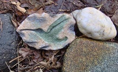 Land & Sea Hummingbird Rock