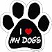 Imagine This Paw Car Magnet, I Love My Dogs, 5-1/2-Inch by 5-1/2-Inch