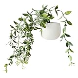 SUJING 1pcs Cute Succulent Plant Magnetic Refrigerator Magnets Cute Home Decor Refrigerator Stickers Creative Notice Message Magnetic Stickers Gift (D(1pcs))